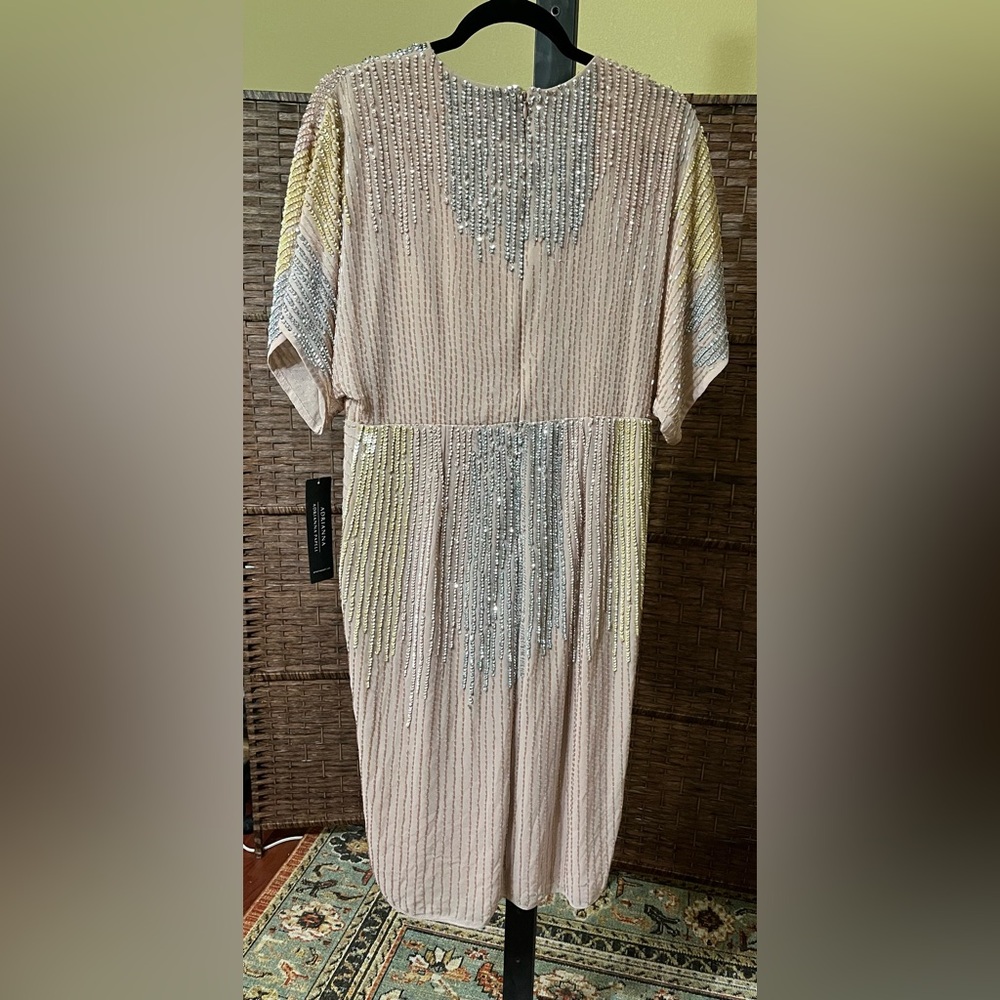 NEW Adrianna by Adrianna Papell Beaded Dolman-Sleeve Dress – Size 10 (Blush) - Picture 4 of 8